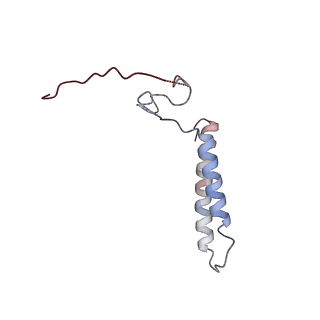 24457_7rh7_J_v1-0
Mycobacterial CIII2CIV2 supercomplex, Telacebec (Q203) bound