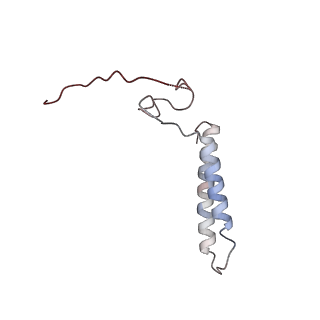 24457_7rh7_J_v2-0
Mycobacterial CIII2CIV2 supercomplex, Telacebec (Q203) bound