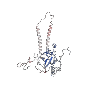 24457_7rh7_K_v1-0
Mycobacterial CIII2CIV2 supercomplex, Telacebec (Q203) bound