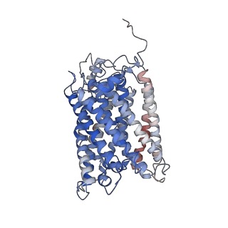 24457_7rh7_L_v2-0
Mycobacterial CIII2CIV2 supercomplex, Telacebec (Q203) bound