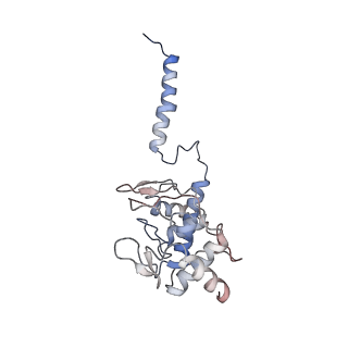 24457_7rh7_O_v1-0
Mycobacterial CIII2CIV2 supercomplex, Telacebec (Q203) bound