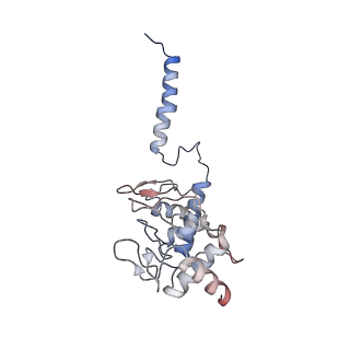 24457_7rh7_O_v2-0
Mycobacterial CIII2CIV2 supercomplex, Telacebec (Q203) bound
