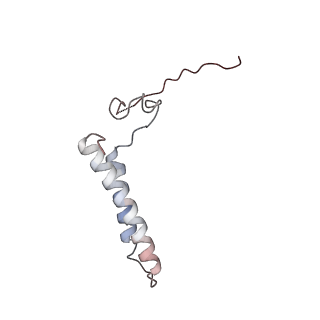 24457_7rh7_P_v1-0
Mycobacterial CIII2CIV2 supercomplex, Telacebec (Q203) bound
