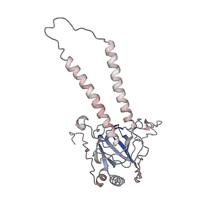 24457_7rh7_Q_v1-0
Mycobacterial CIII2CIV2 supercomplex, Telacebec (Q203) bound