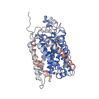 24457_7rh7_R_v2-0
Mycobacterial CIII2CIV2 supercomplex, Telacebec (Q203) bound
