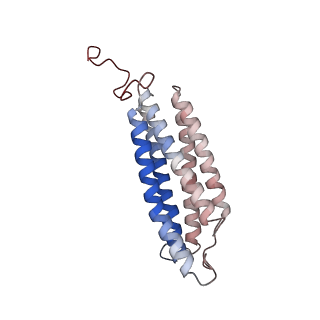 24457_7rh7_S_v1-0
Mycobacterial CIII2CIV2 supercomplex, Telacebec (Q203) bound