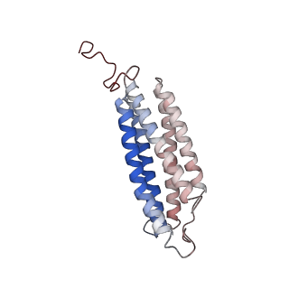 24457_7rh7_S_v2-0
Mycobacterial CIII2CIV2 supercomplex, Telacebec (Q203) bound