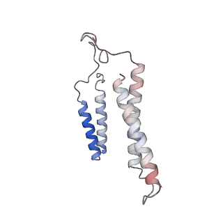 24457_7rh7_T_v1-0
Mycobacterial CIII2CIV2 supercomplex, Telacebec (Q203) bound