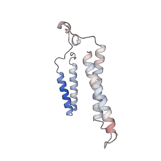 24457_7rh7_T_v2-0
Mycobacterial CIII2CIV2 supercomplex, Telacebec (Q203) bound