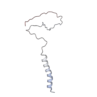 24457_7rh7_U_v2-0
Mycobacterial CIII2CIV2 supercomplex, Telacebec (Q203) bound