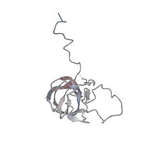 24457_7rh7_W_v1-0
Mycobacterial CIII2CIV2 supercomplex, Telacebec (Q203) bound