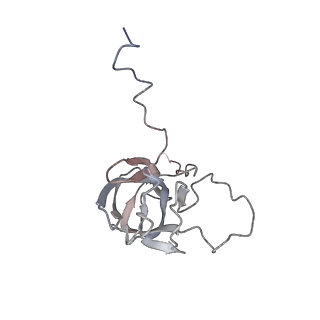 24457_7rh7_W_v2-0
Mycobacterial CIII2CIV2 supercomplex, Telacebec (Q203) bound