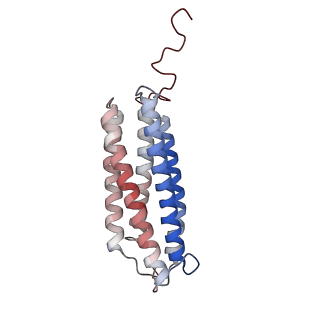 24457_7rh7_X_v1-0
Mycobacterial CIII2CIV2 supercomplex, Telacebec (Q203) bound