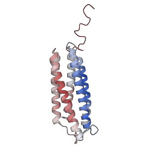 24457_7rh7_X_v2-0
Mycobacterial CIII2CIV2 supercomplex, Telacebec (Q203) bound