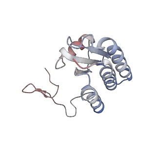 24457_7rh7_b_v1-0
Mycobacterial CIII2CIV2 supercomplex, Telacebec (Q203) bound