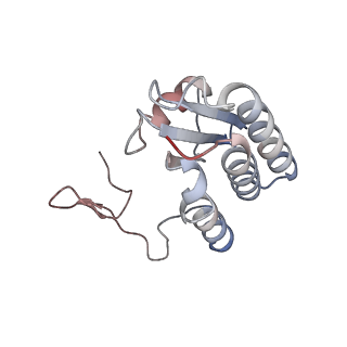 24457_7rh7_b_v2-0
Mycobacterial CIII2CIV2 supercomplex, Telacebec (Q203) bound