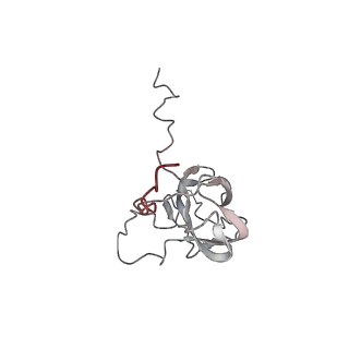 24457_7rh7_c_v2-0
Mycobacterial CIII2CIV2 supercomplex, Telacebec (Q203) bound