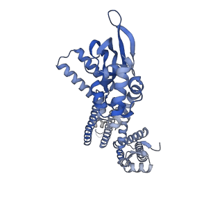 24458_7rh9_B_v1-1
Cryo-EM structure of human rod CNGA1/B1 channel in apo state