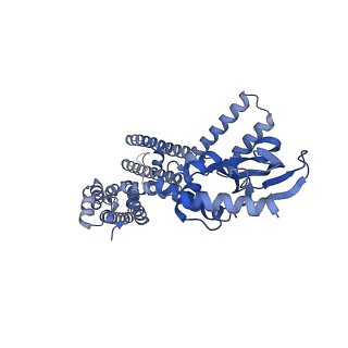 24458_7rh9_C_v1-1
Cryo-EM structure of human rod CNGA1/B1 channel in apo state