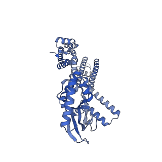 24458_7rh9_D_v1-1
Cryo-EM structure of human rod CNGA1/B1 channel in apo state