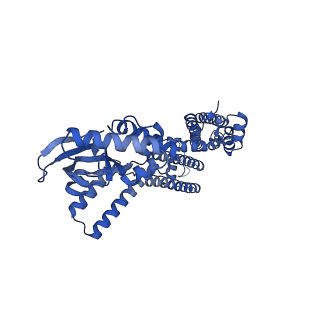24460_7rhg_A_v1-1
Cryo-EM structure of human rod CNGA1/B1 channel in cAMP-bound state