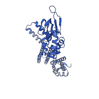24460_7rhg_B_v1-1
Cryo-EM structure of human rod CNGA1/B1 channel in cAMP-bound state