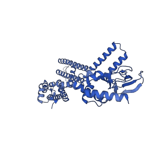 24460_7rhg_C_v1-1
Cryo-EM structure of human rod CNGA1/B1 channel in cAMP-bound state
