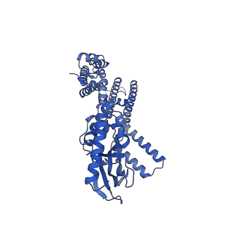 24460_7rhg_D_v1-1
Cryo-EM structure of human rod CNGA1/B1 channel in cAMP-bound state