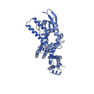24461_7rhh_A_v1-1
Cryo-EM structure of human rod CNGA1/B1 channel in cGMP-bound openI state