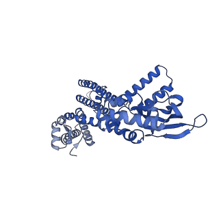 24461_7rhh_B_v1-1
Cryo-EM structure of human rod CNGA1/B1 channel in cGMP-bound openI state