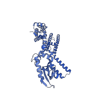 24461_7rhh_C_v1-1
Cryo-EM structure of human rod CNGA1/B1 channel in cGMP-bound openI state