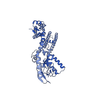 24462_7rhi_C_v1-1
Cryo-EM structure of human rod CNGA1/B1 channel in cGMP-bound openII state