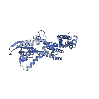 24462_7rhi_D_v1-1
Cryo-EM structure of human rod CNGA1/B1 channel in cGMP-bound openII state