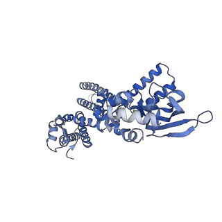 24463_7rhj_B_v1-1
Cryo-EM structure of human rod CNGA1/B1 channel in L-cis-Diltiazem-blocked open state