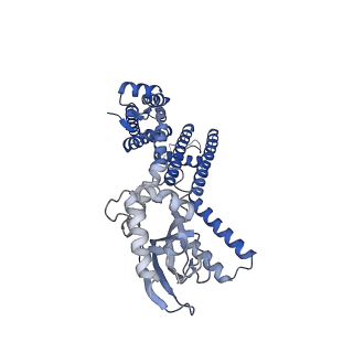 24463_7rhj_C_v1-1
Cryo-EM structure of human rod CNGA1/B1 channel in L-cis-Diltiazem-blocked open state