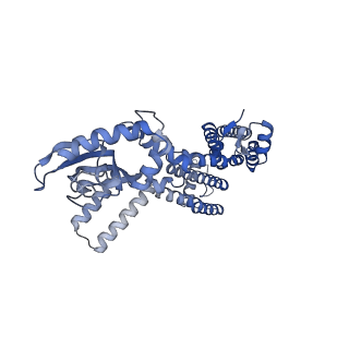 24463_7rhj_D_v1-1
Cryo-EM structure of human rod CNGA1/B1 channel in L-cis-Diltiazem-blocked open state