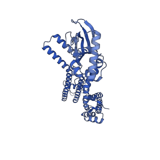 24464_7rhk_A_v1-1
Cryo-EM structure of human rod CNGA1/B1 channel in L-cis-Diltiazem-trapped closed state
