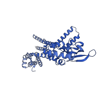 24464_7rhk_B_v1-1
Cryo-EM structure of human rod CNGA1/B1 channel in L-cis-Diltiazem-trapped closed state