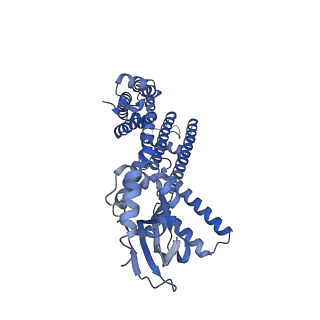24464_7rhk_C_v1-1
Cryo-EM structure of human rod CNGA1/B1 channel in L-cis-Diltiazem-trapped closed state