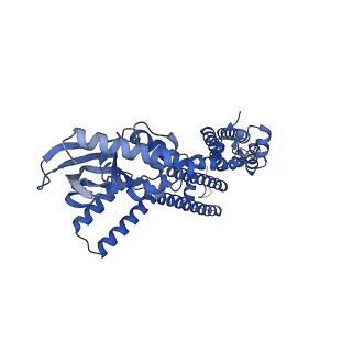 24464_7rhk_D_v1-1
Cryo-EM structure of human rod CNGA1/B1 channel in L-cis-Diltiazem-trapped closed state