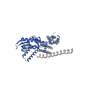 24465_7rhl_A_v1-1
Cryo-EM structure of human rod Apo CNGA1/B1 channel with CLZ coiled coil
