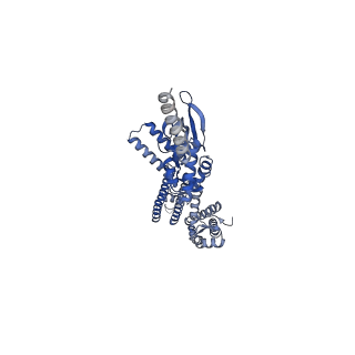 24465_7rhl_B_v1-1
Cryo-EM structure of human rod Apo CNGA1/B1 channel with CLZ coiled coil
