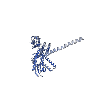 24465_7rhl_D_v1-1
Cryo-EM structure of human rod Apo CNGA1/B1 channel with CLZ coiled coil