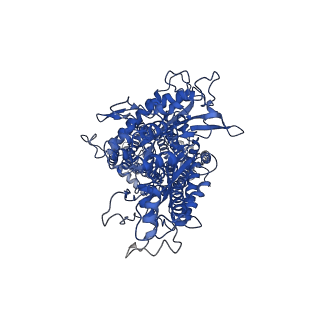 24466_7rhq_A_v1-2
Cryo-EM structure of Xenopus Patched-1 in complex with GAS1 and Sonic Hedgehog