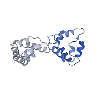 24466_7rhq_G_v1-2
Cryo-EM structure of Xenopus Patched-1 in complex with GAS1 and Sonic Hedgehog