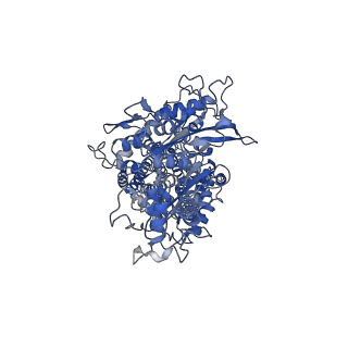 24467_7rhr_A_v1-2
Cryo-EM structure of Xenopus Patched-1 in nanodisc