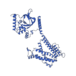 24468_7rhs_A_v1-0
Cryo-EM structure of apo-state of human CNGA3/CNGB3 channel