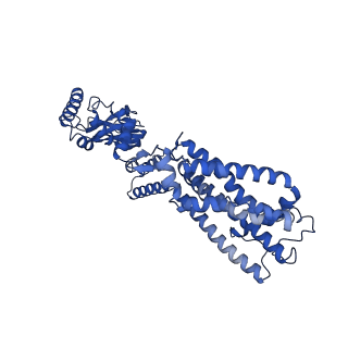 24468_7rhs_B_v1-0
Cryo-EM structure of apo-state of human CNGA3/CNGB3 channel