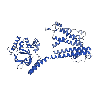 24468_7rhs_C_v1-0
Cryo-EM structure of apo-state of human CNGA3/CNGB3 channel
