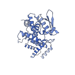 24471_7rhy_A_v1-1
Cre recombinase mutant (D33A/A36V/R192A) in complex with loxA DNA hairpin